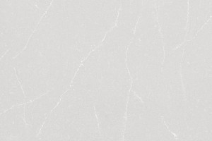 Desert Silver